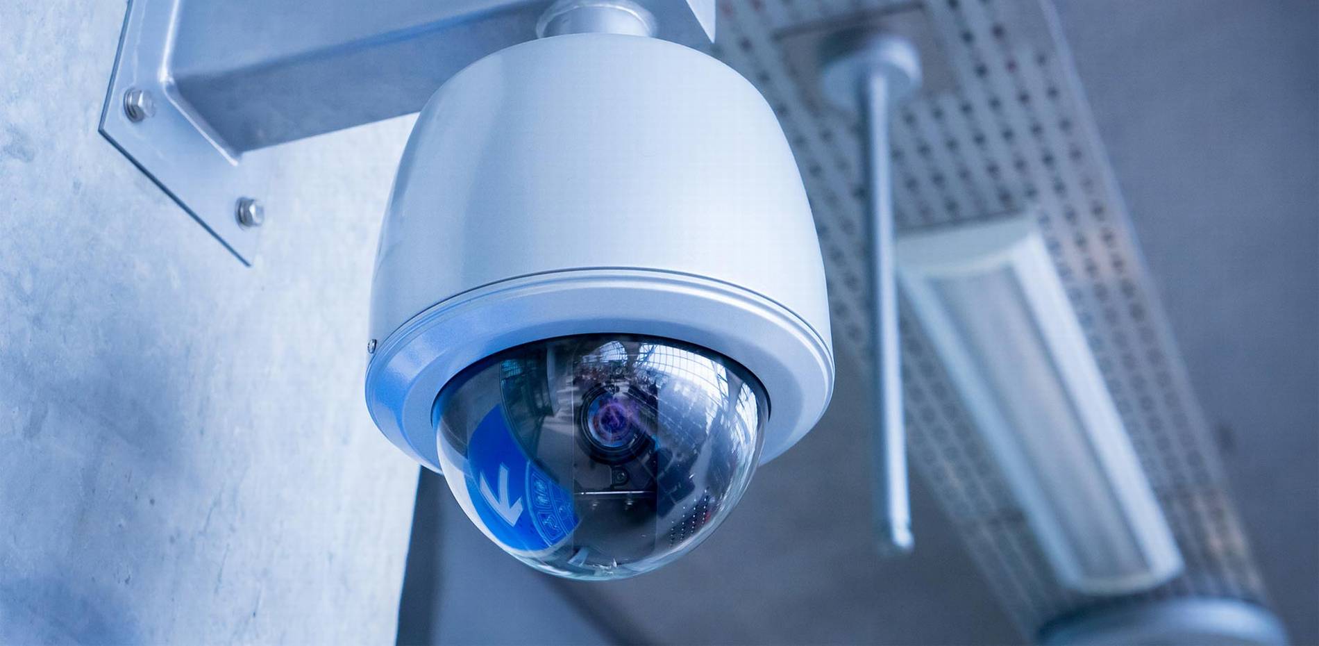 #1 Best Security Camera Company: CAT6 CAT7 CAT8 Network vs Wiring Installer Low Voltage Fiber Optic Lakeland